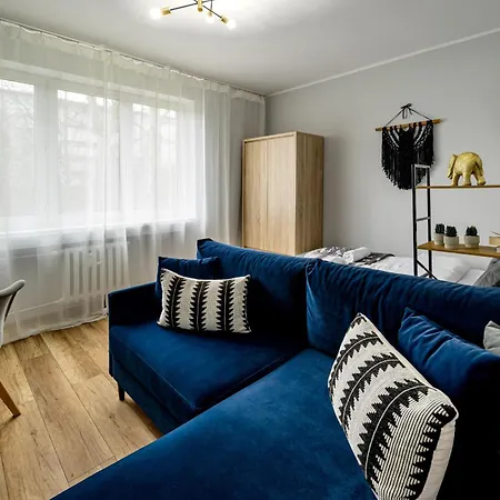 Rentplanet - Zdrowa